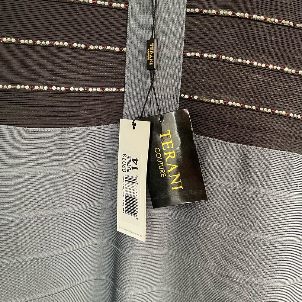 Terani dress